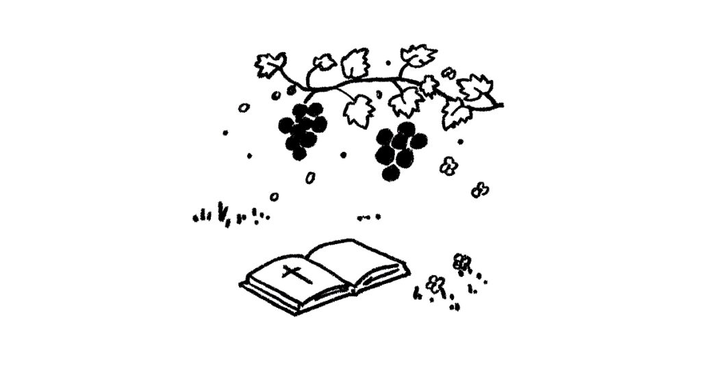 예수님께 붙어 있는 가지