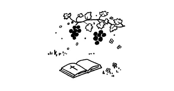 예수님께 붙어 있는 가지