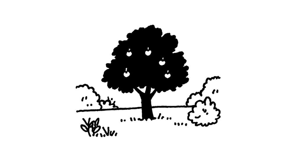 사람보다 먼저 있던 것